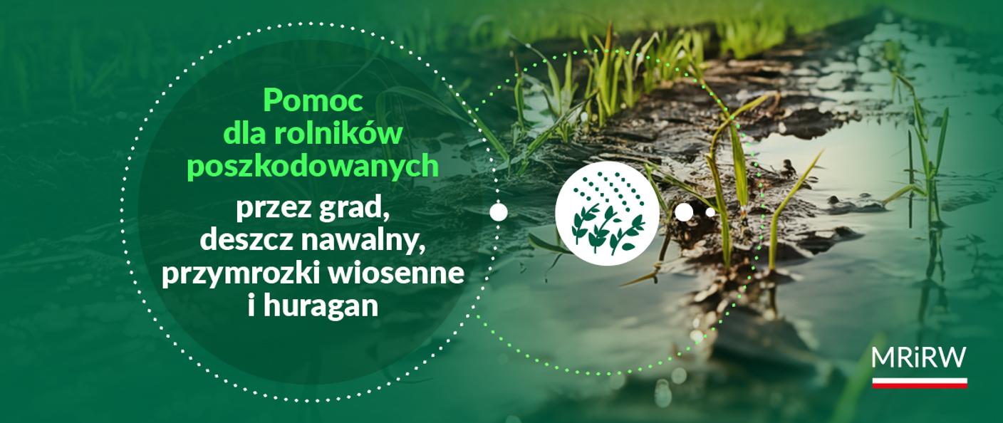 pomoc dla rolników susza grad 2024