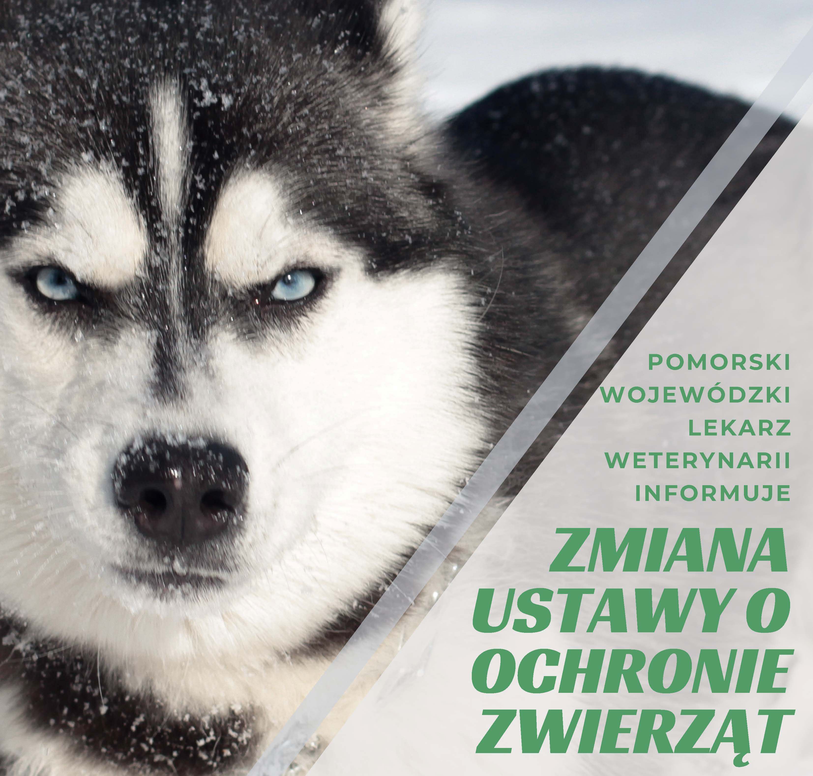 zmiana ustawy o ochronie zwierząt 2027 logo