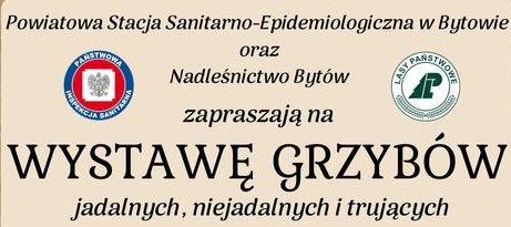 wystawa grzybów logo